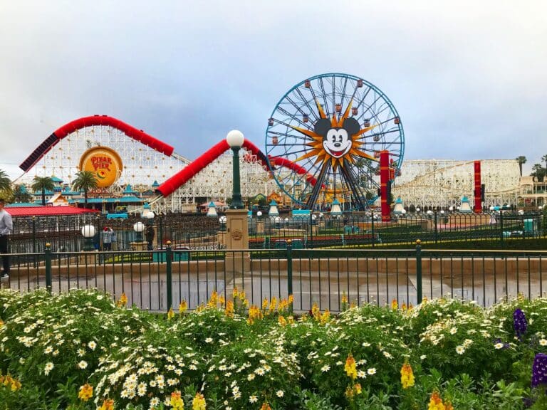 disney ferris wheel and roller coaster image