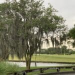Disney Saratoga Springs Resort image
