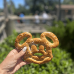 Disney Dining Plan