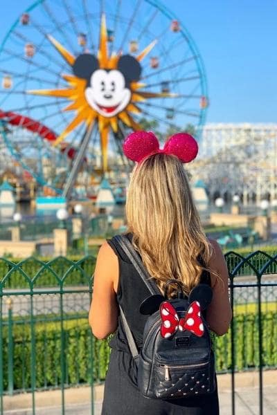 traveling-ears-at-disney-ferris-wheel-image