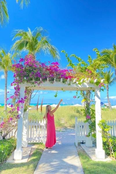 traveling-ears-on-beach-cheers-image
