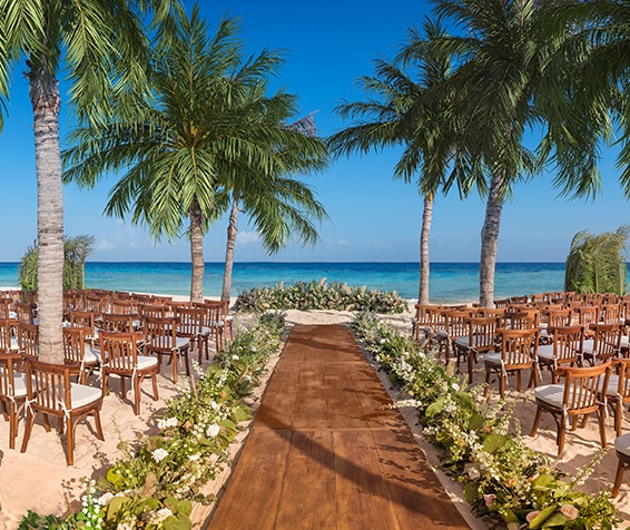 Beach wedding setup with palm trees