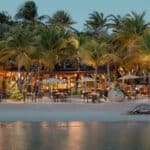 Palm-lined beachfront and resort dining area at Baoase Luxury Resort in Curaçao beside calm Caribbean water