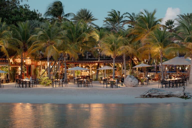 Palm-lined beachfront and resort dining area at Baoase Luxury Resort in Curaçao beside calm Caribbean water