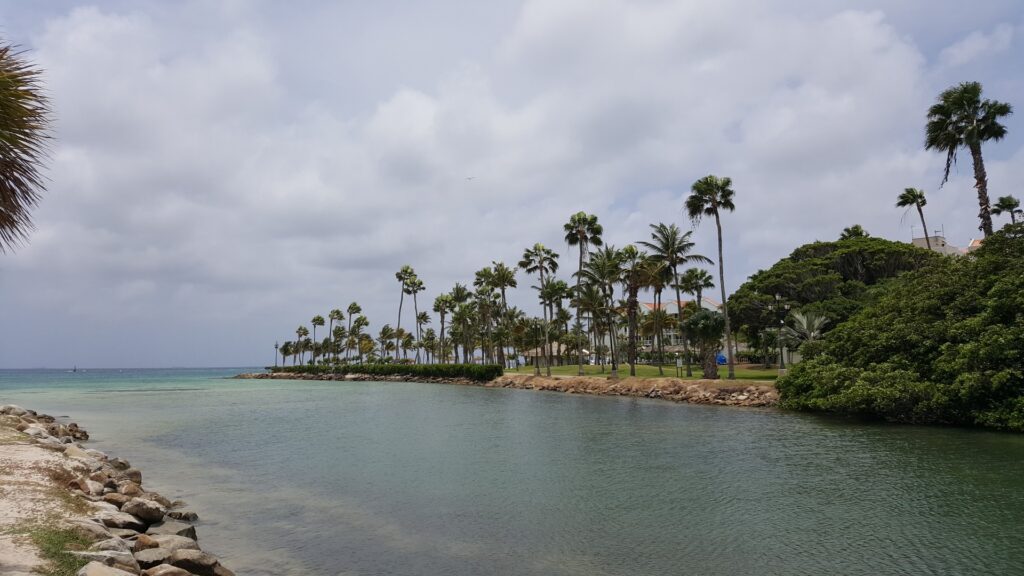 Renaissance Island beach and palm-lined shoreline at Renaissance Wind Creek Aruba Resort