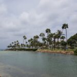 Renaissance Island beach and palm-lined shoreline at Renaissance Wind Creek Aruba Resort