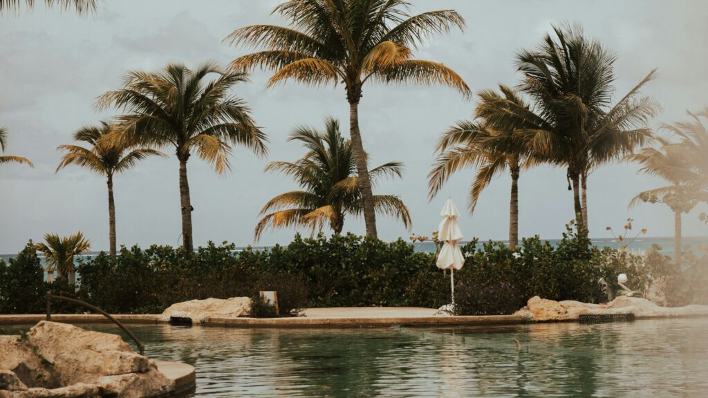 Palm trees and a resort water feature with the ocean beyond at SLS Baha Mar in Nassau
