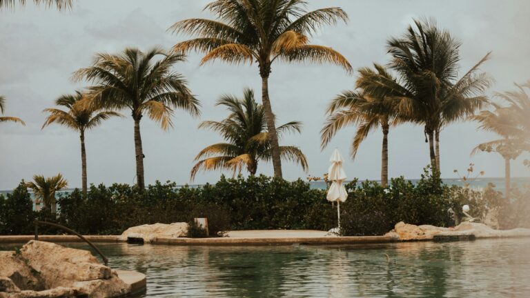 Palm trees and a resort water feature with the ocean beyond at SLS Baha Mar in Nassau