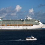 Freedom of the Seas cruise ship