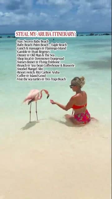Reel cover: An Aruba Excursion Moment