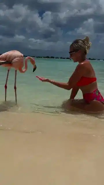 Reel cover: An earlier visit to Aruba’s Flamingo Island