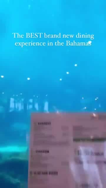 Reel cover: An Earlier Visit to Shake Shack at Atlantis