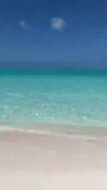 Reel cover: Unhurried beach time at Tropic of Cancer Beach